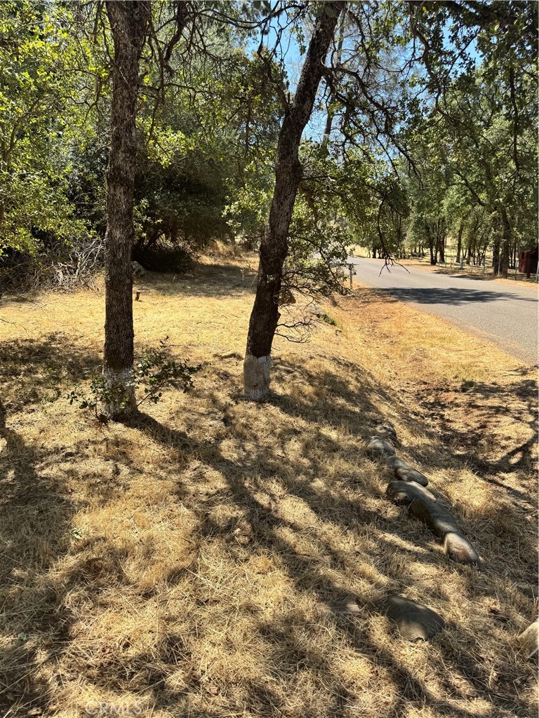 322 Lausen Property Photo 1
