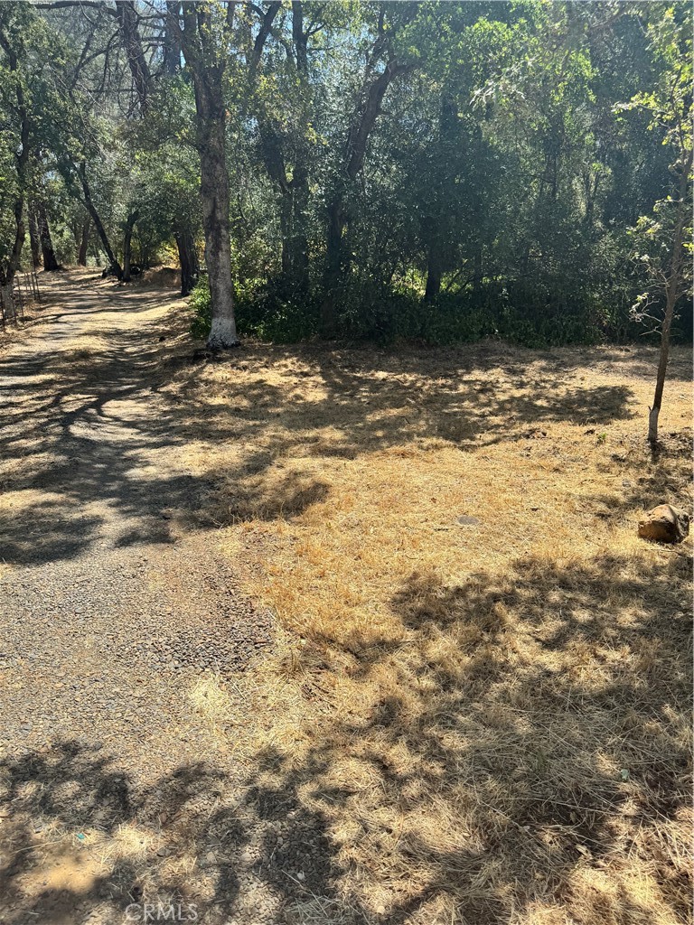 322 Lausen Property Photo 2
