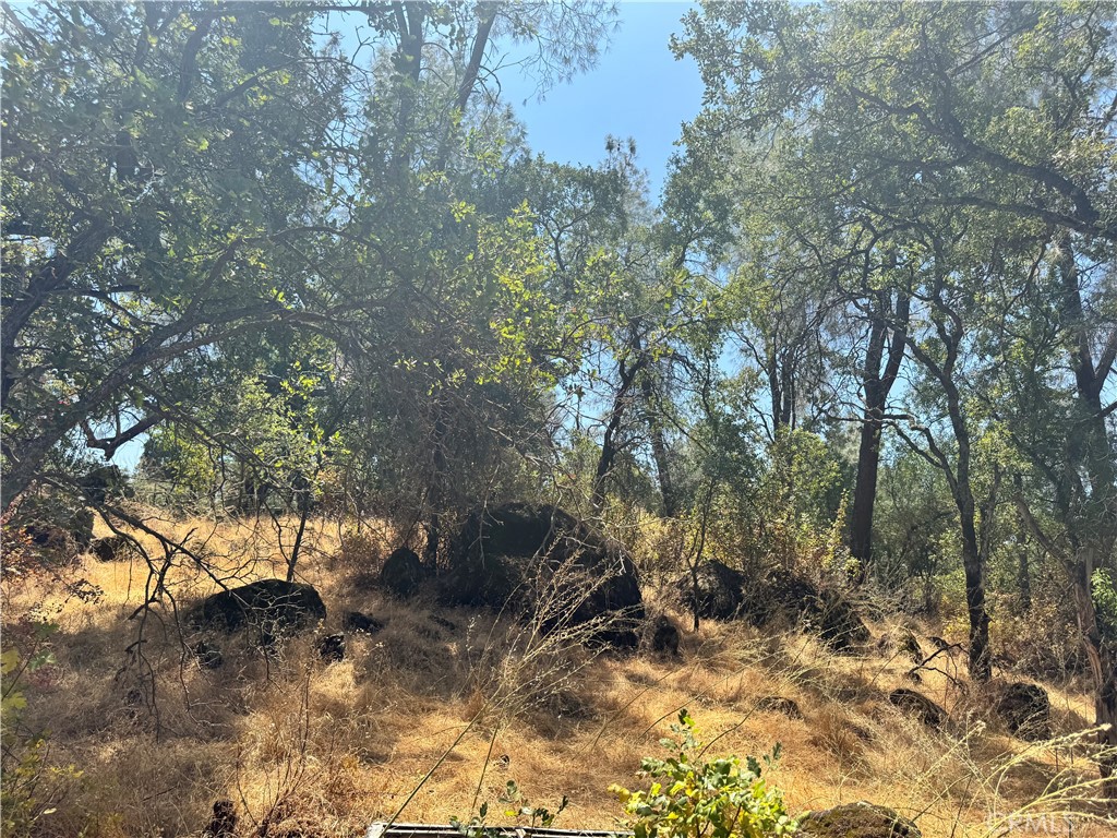 322 Lausen Property Photo 3