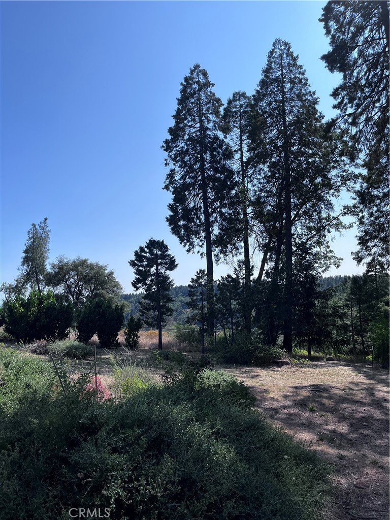 13903 Cluster Court Property Photo 3