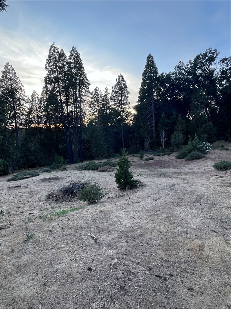 13903 Cluster Court Property Photo 4