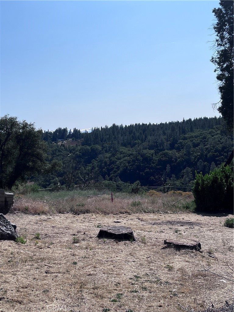 13903 Cluster Court Property Photo 5