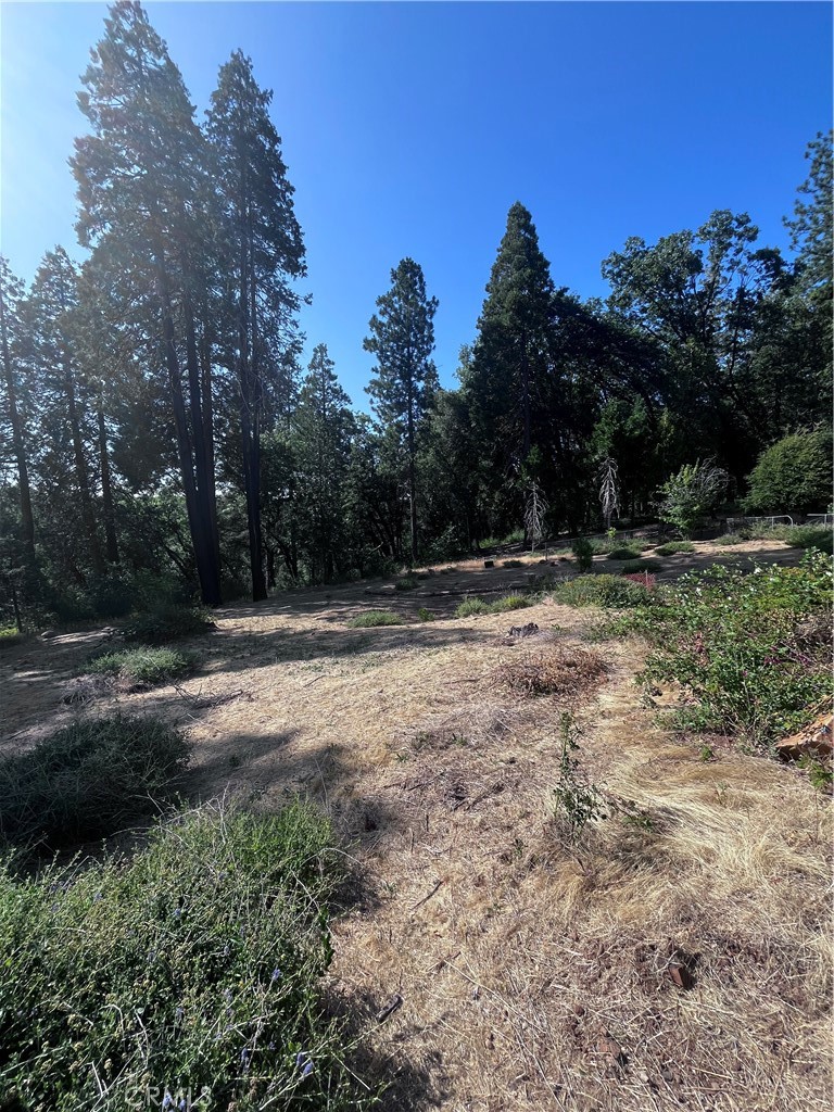 13903 Cluster Court Property Photo 7