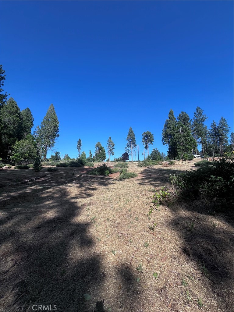 13903 Cluster Court Property Photo 9