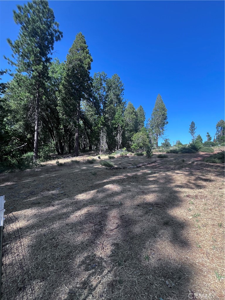 13903 Cluster Court Property Photo 10