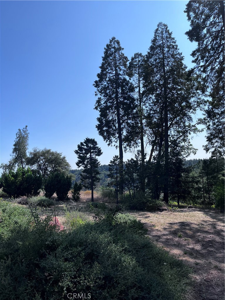 13903 Cluster Court Property Photo 13