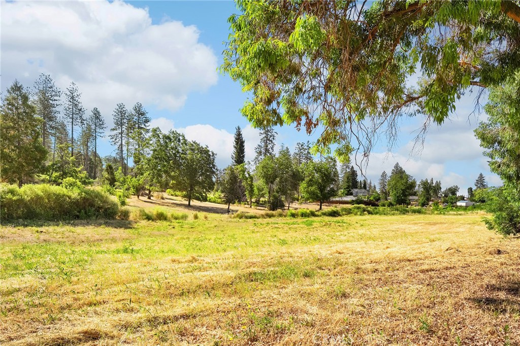 6118 Clark Property Photo 21