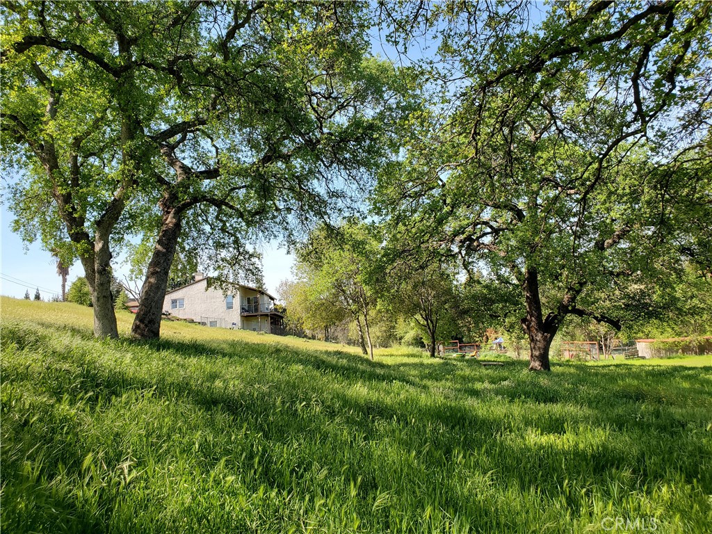 0 Chico Canyon Road Property Photo 6