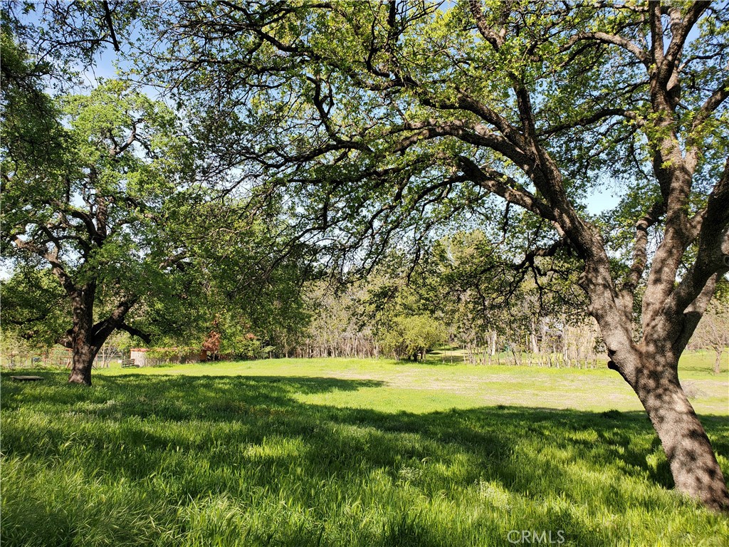 0 Chico Canyon Road Property Photo 7