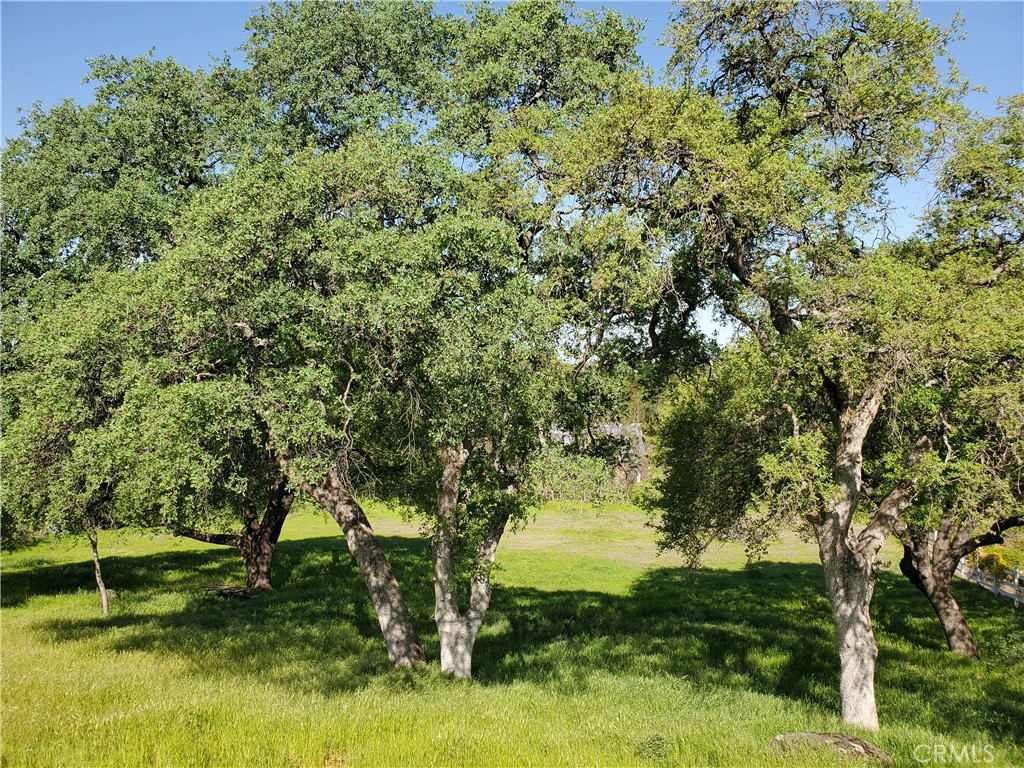 0 Chico Canyon Road Property Photo 8