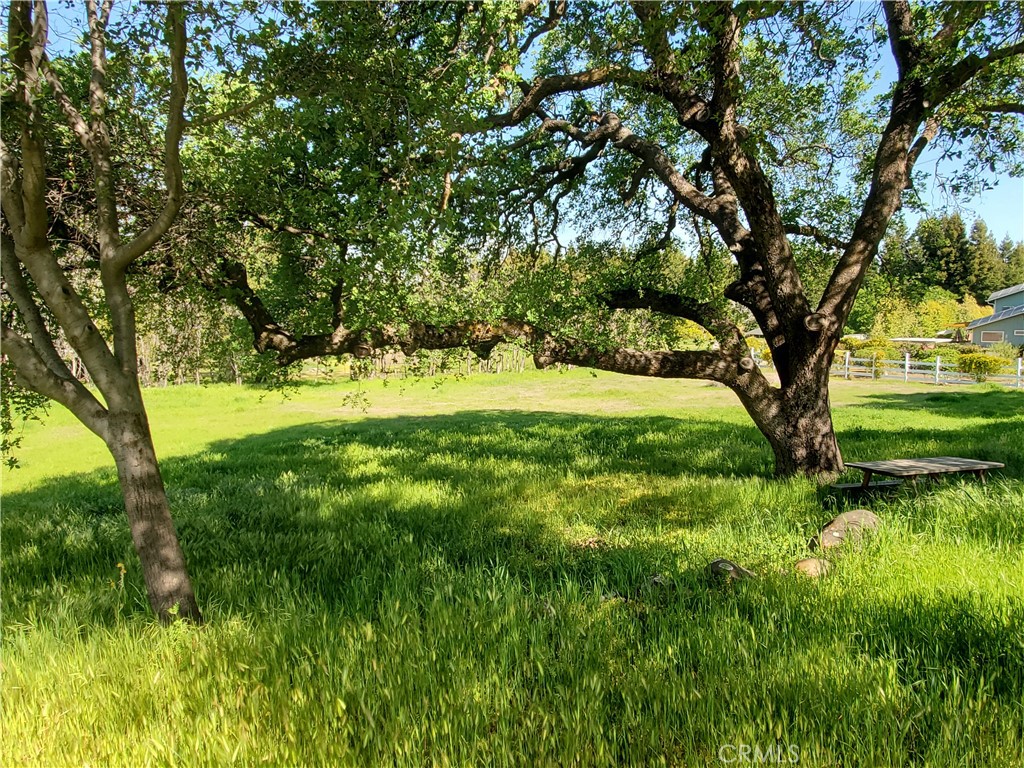 0 Chico Canyon Road Property Photo 9