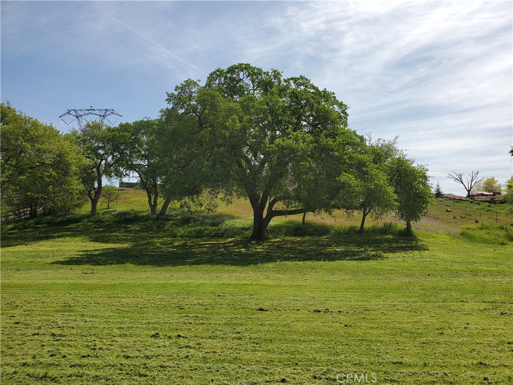 0 Chico Canyon Road Property Photo 15