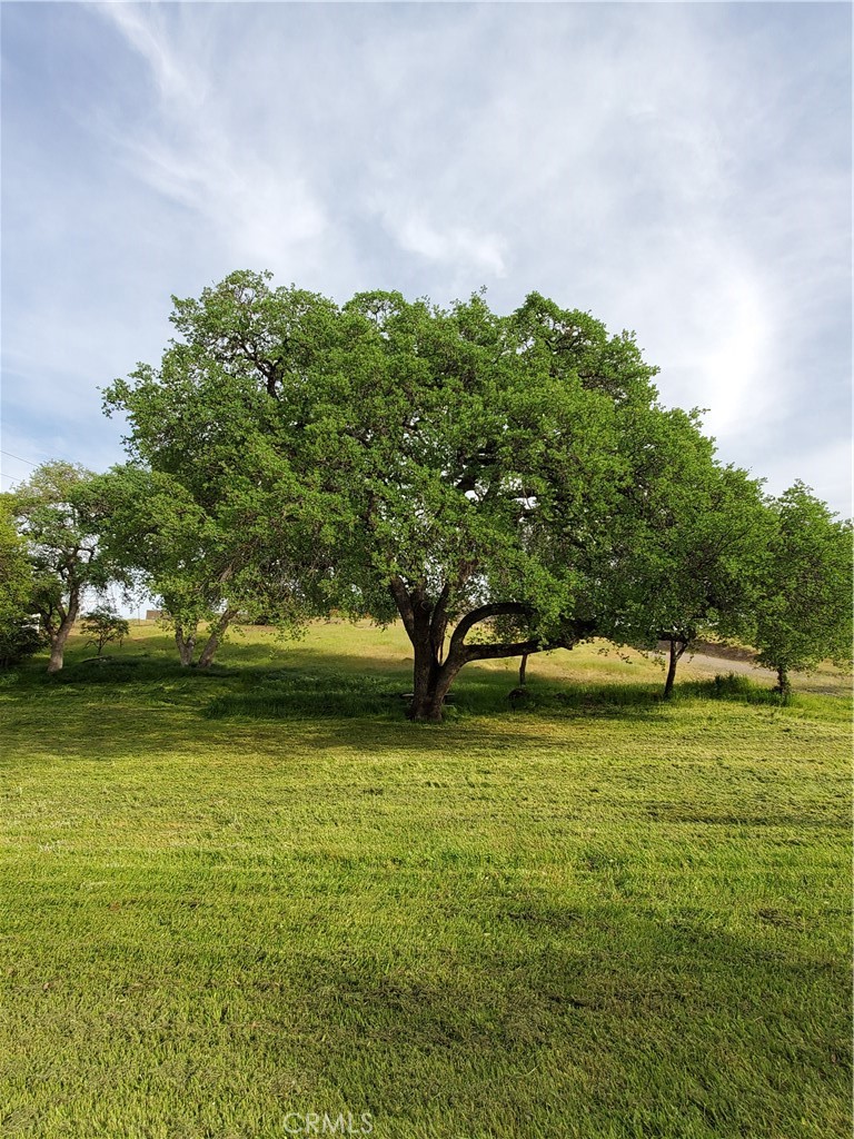 0 Chico Canyon Road Property Photo 19