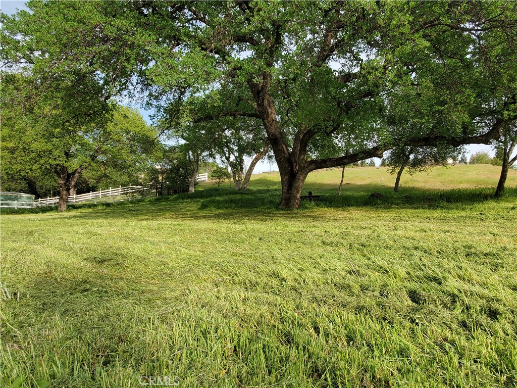 0 Chico Canyon Road Property Photo 20