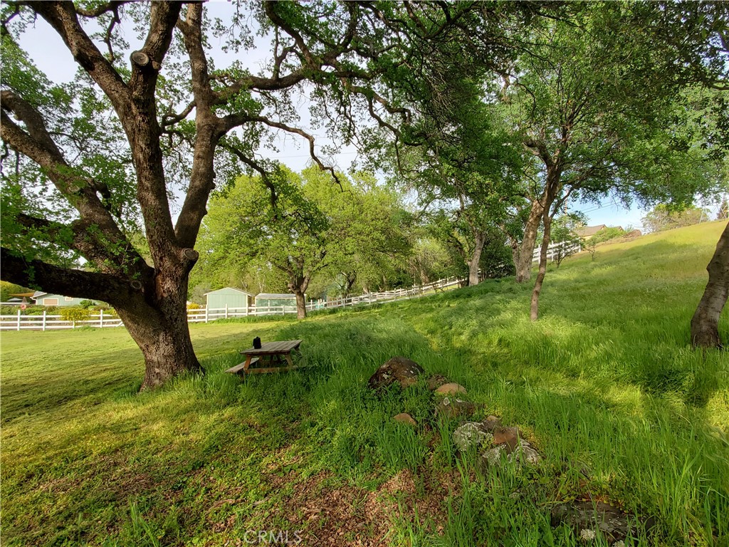 0 Chico Canyon Road Property Photo 21