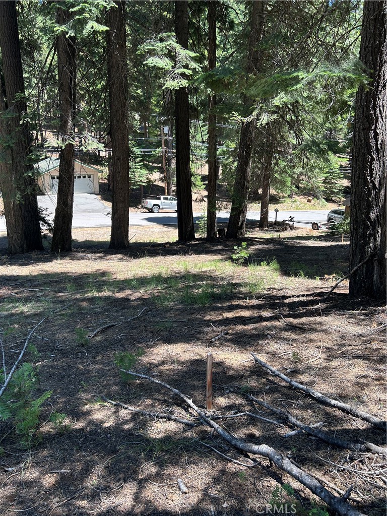 631 Cedar Canyon Road Property Photo 2