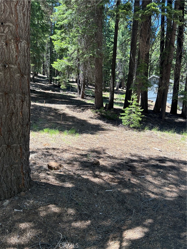631 Cedar Canyon Road Property Photo 3