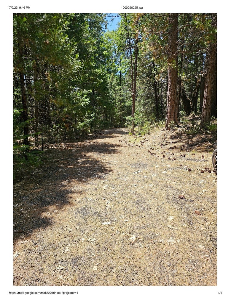 15824 Valhalla Drive Property Photo 6