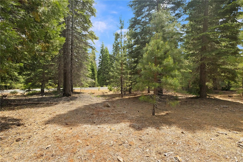 208 Blue Fox Drive Property Photo 1