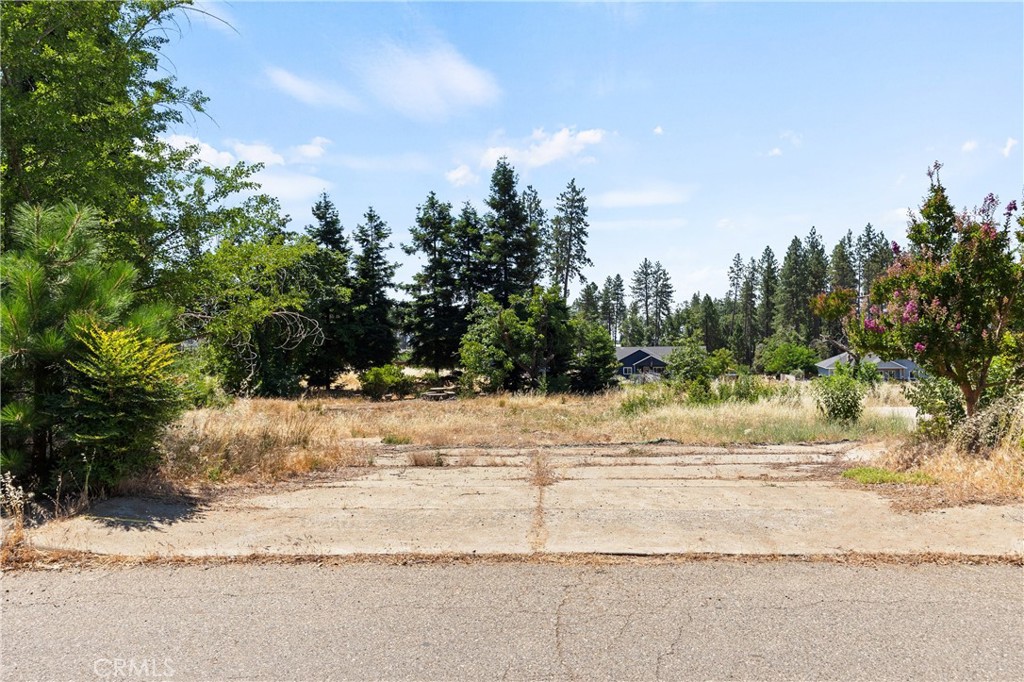 1382 Delia Way Property Photo 1