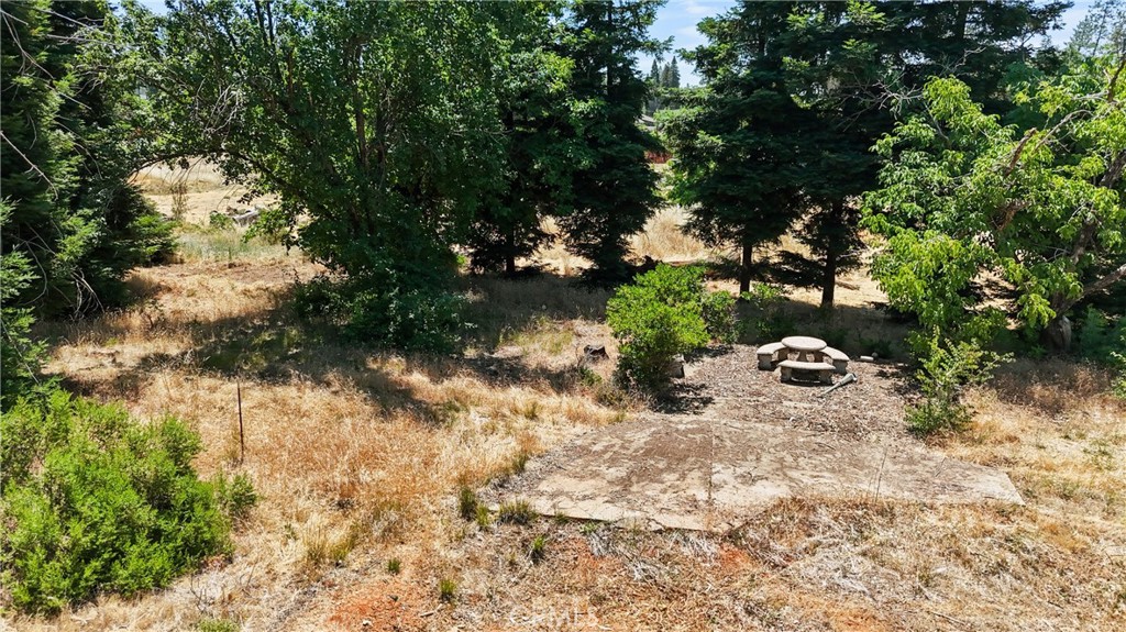 1382 Delia Way Property Photo 3