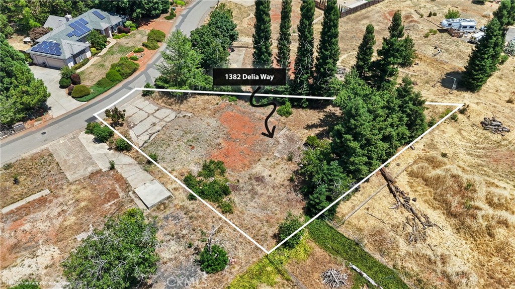 1382 Delia Way Property Photo 4