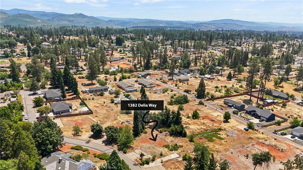 1382 Delia Way Property Photo 6