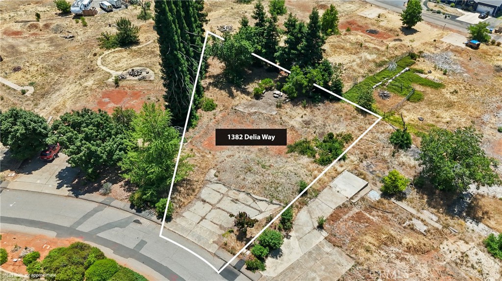 1382 Delia Way Property Photo 7