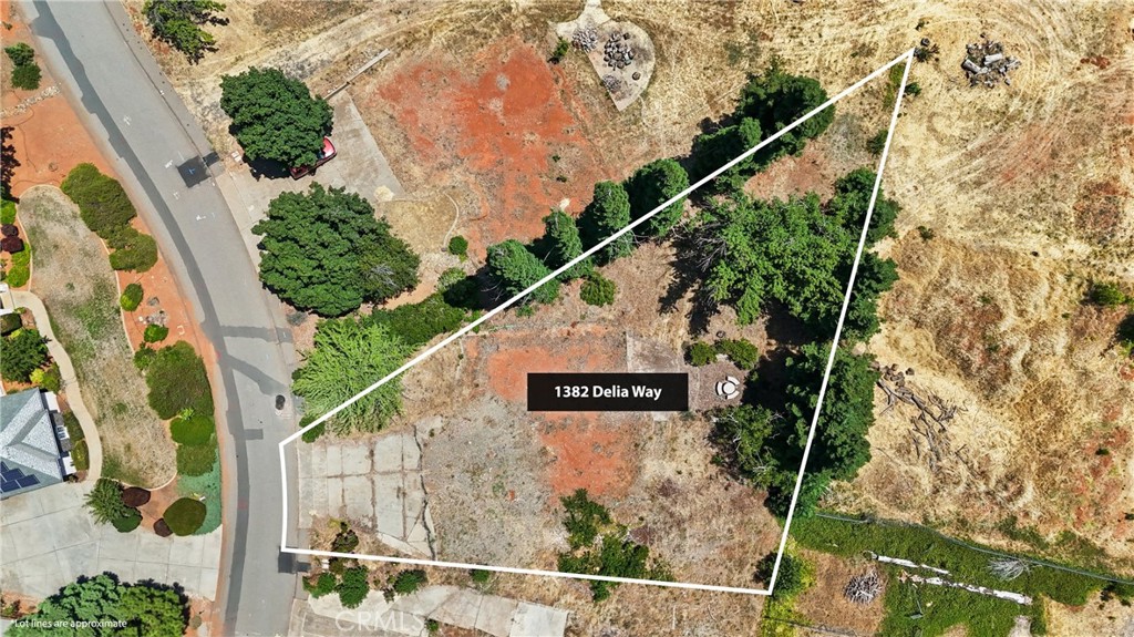 1382 Delia Way Property Photo 8