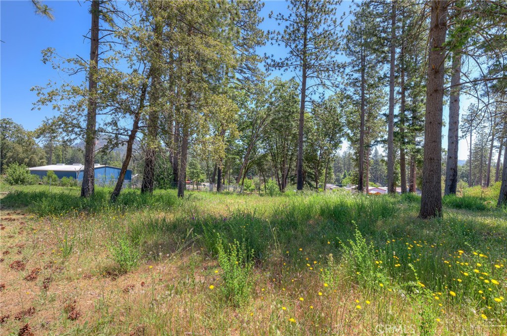 9142 Skyway Property Photo 9