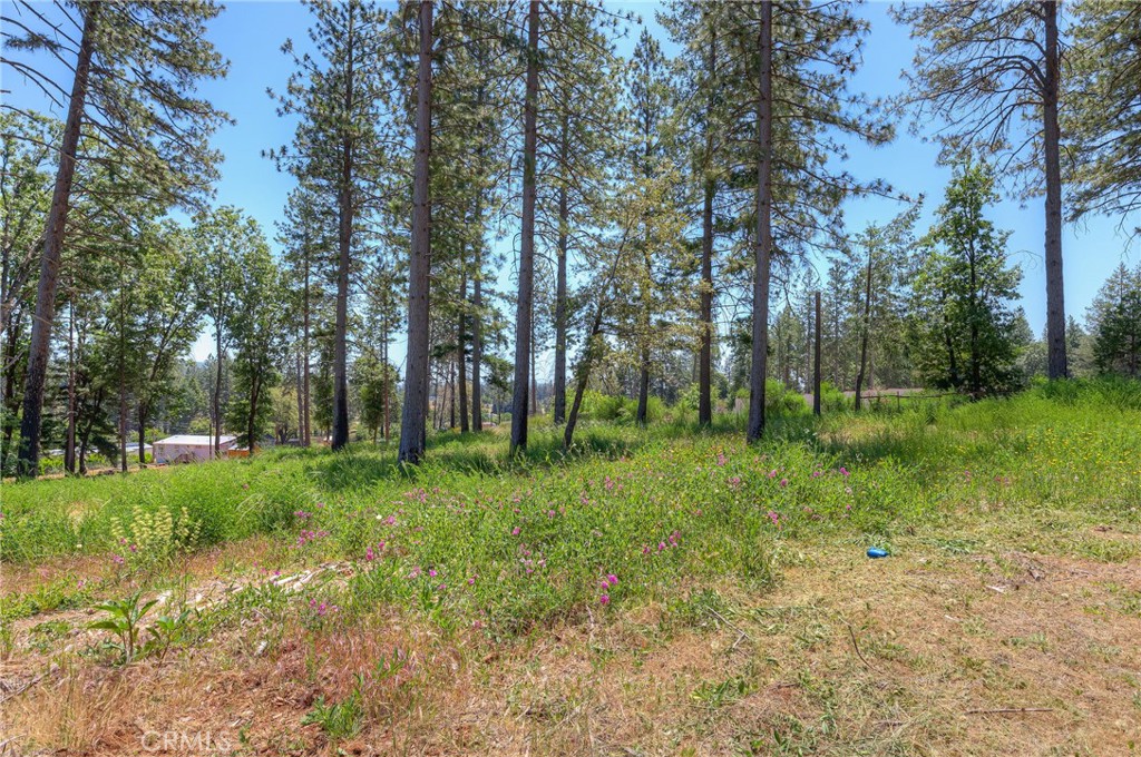 9142 Skyway Property Photo 11