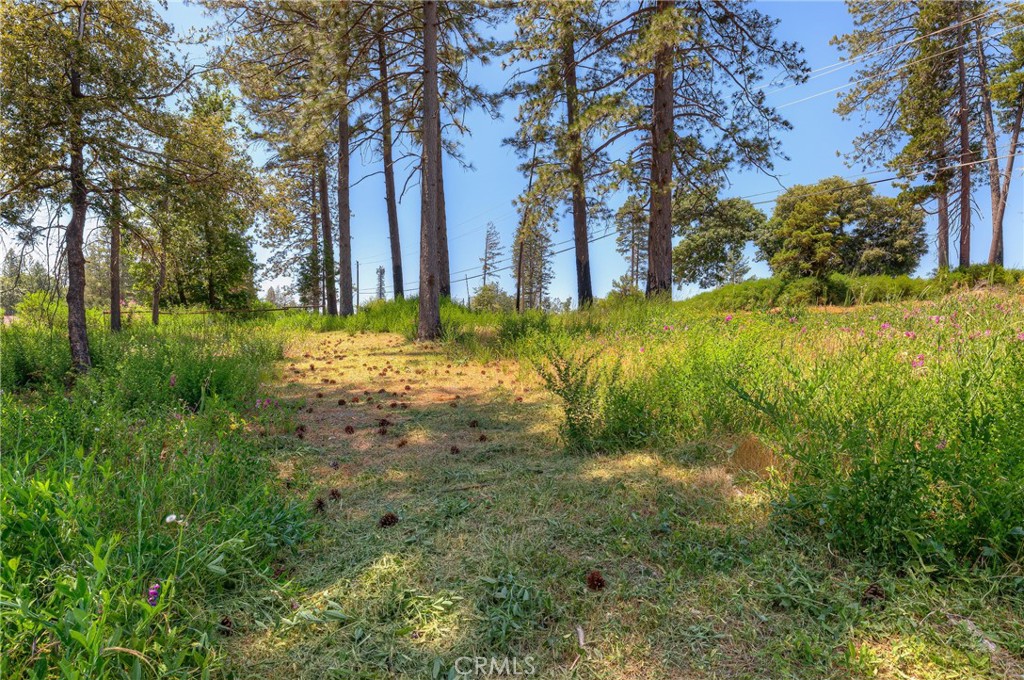 9142 Skyway Property Photo 12