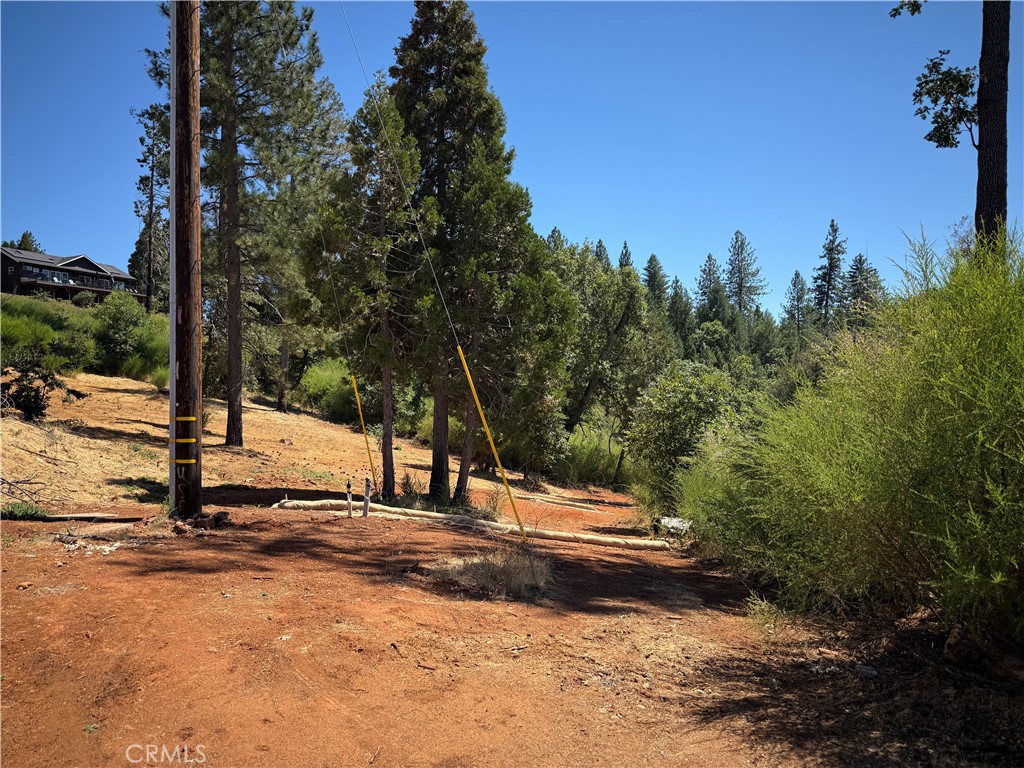 13741 Canyon Drive Property Photo 2