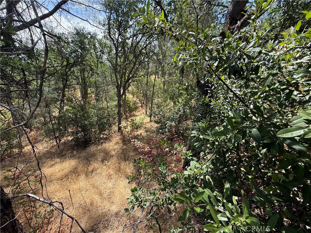 16305 Hillcrest Drive Property Photo 1