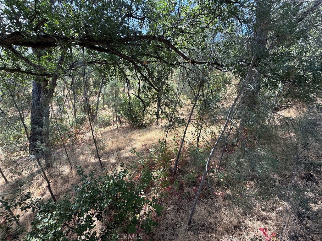 16305 Hillcrest Drive Property Photo 2