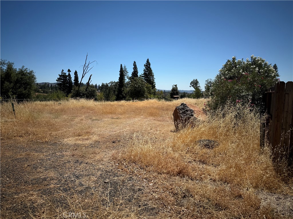 1610 Jaramillo Lane Property Photo 1