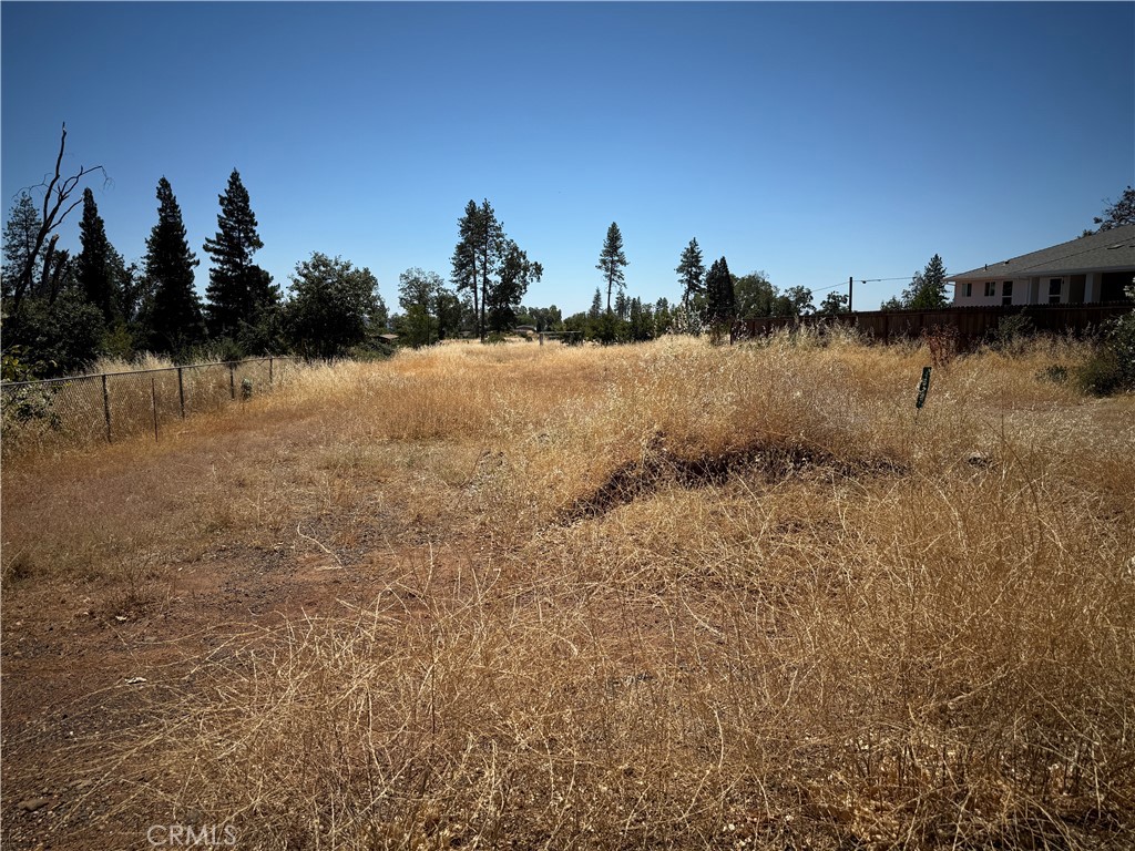 1610 Jaramillo Lane Property Photo 2