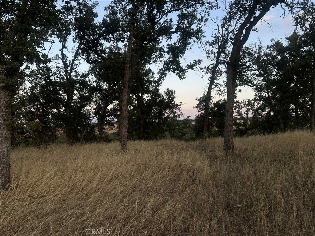 6915 Remunda Road Property Photo 6