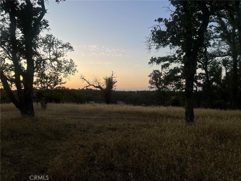 6915 Remunda Road Property Photo 9