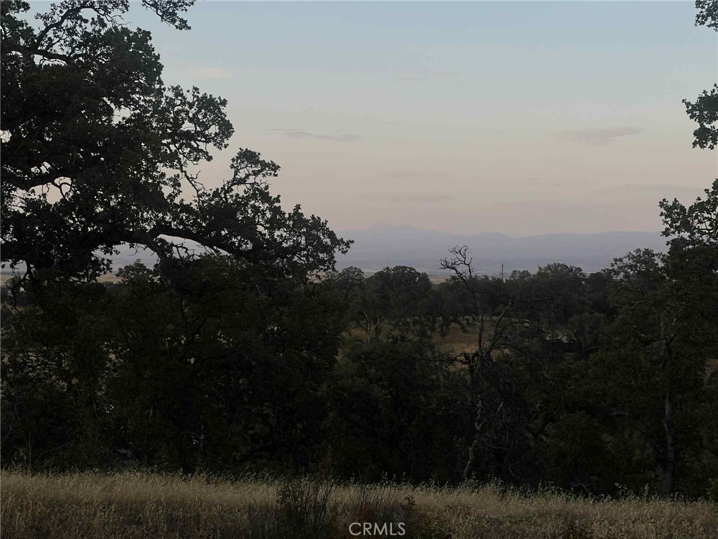 6915 Remunda Road Property Photo 10