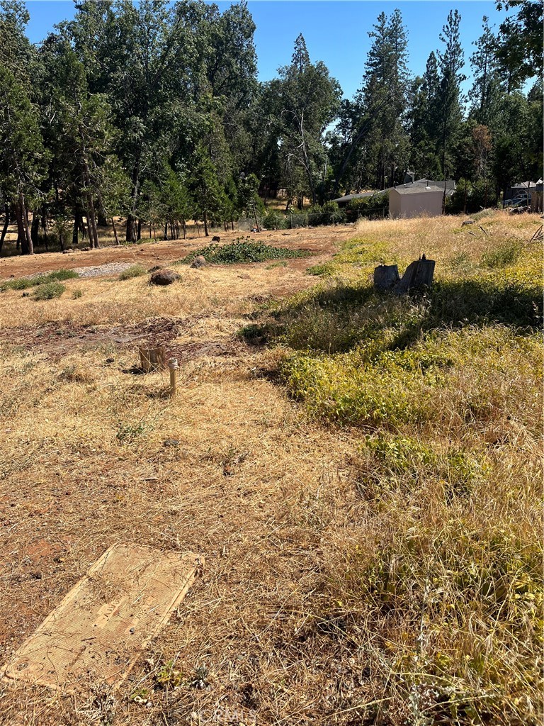 13595 Babson Court Property Photo 3