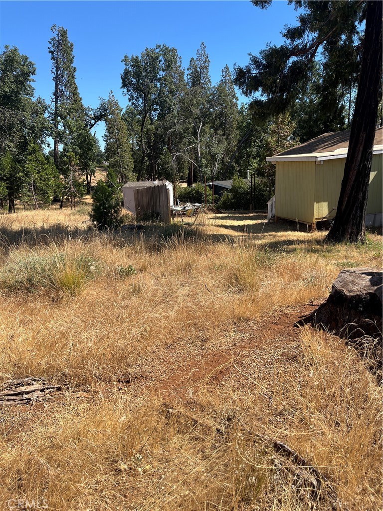 13595 Babson Court Property Photo 10