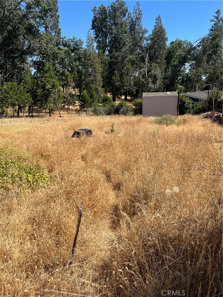 13595 Babson Court Property Photo 11
