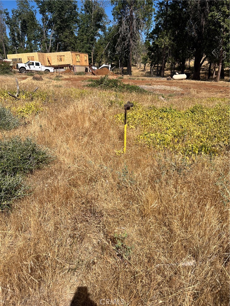 13595 Babson Court Property Photo 12