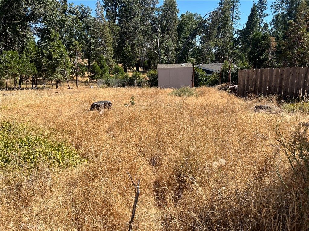 13595 Babson Court Property Photo 17