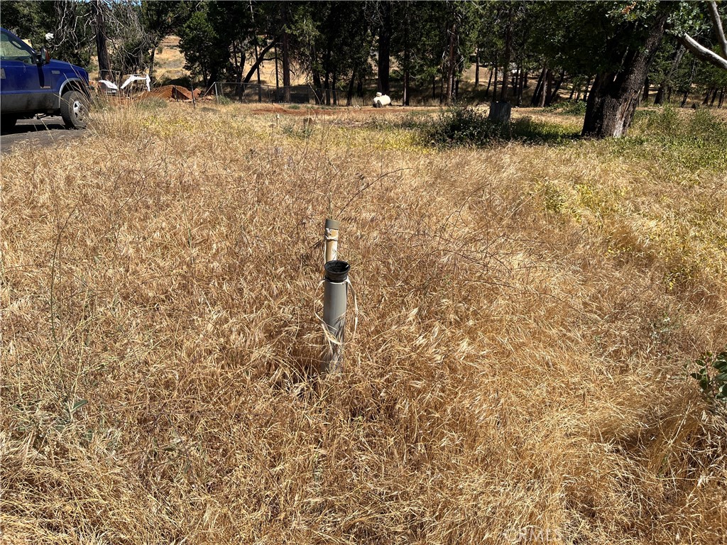 13595 Babson Court Property Photo 18