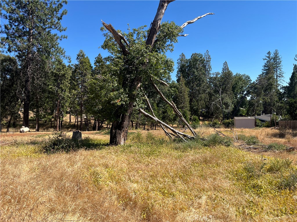 13595 Babson Court Property Photo 20