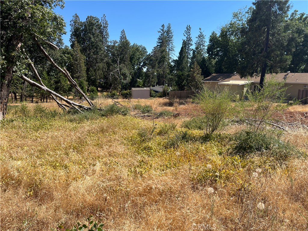 13595 Babson Court Property Photo 21