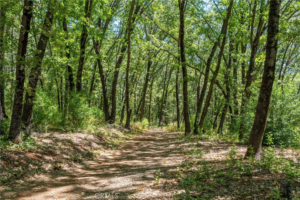 0 Knolls Property Photo 15