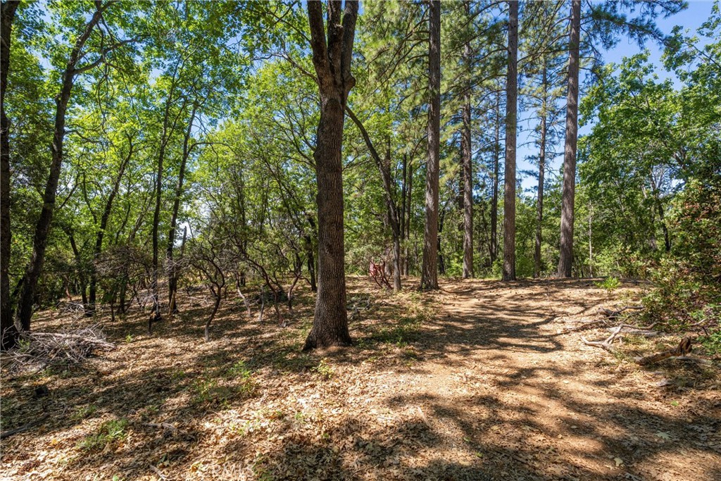 0 Knolls Property Photo 20